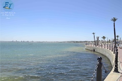 A la découverte de la Tunisie: Les Berges du Lac à Tunis   (Belle Tunisie 79) 