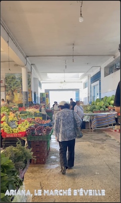 🍒🐟 L'Ariana ce matin — flânerie au fil du marché