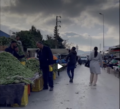 🍋 Marché hebdomadaire de Boumhel : couleurs, voix et vie d’un souk tunisien 🍅