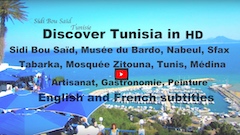 Sidi Bou Saïd, Musée du Bardo, Nabeul, Sfax, Tabarka, Mosquée Zitouna, Tunis, Médina, Artisanat...