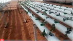 تطاوين: شابة تطلق مشروعا لزراعة الفراولة دون تربة