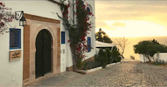 La Villa Bleue - Sidi Bou Saïd