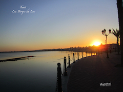 Tunis Les Berges du Lac octobre 2018 (Photos)