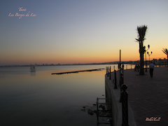 Tunis Les Berges du Lac (1) (Photos)